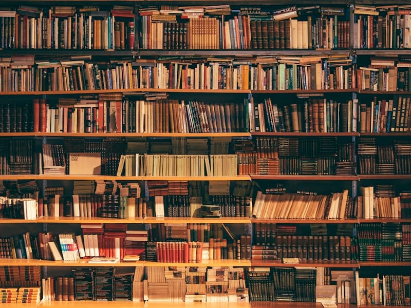 L'interno della libreria Sognalibri